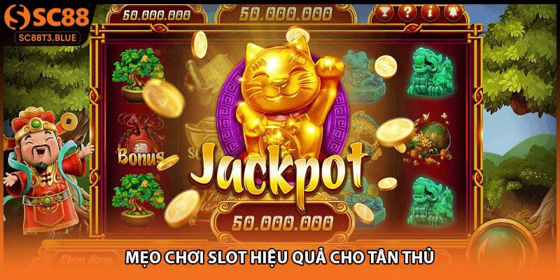 Mẹo chơi slot hiệu quả cho tân thủ