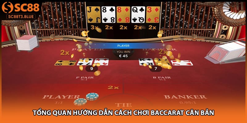 Tổng quan hướng dẫn cách chơi baccarat căn bản